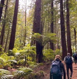 guests hike North Island SN10MAR27