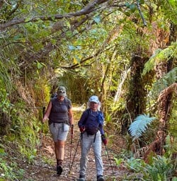 guests hike Nydia Track KC02FEB26