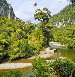 guests hike Paparoa National Park GE16MAR26