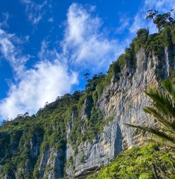 guests hike Pororari River Track MP23FEB26