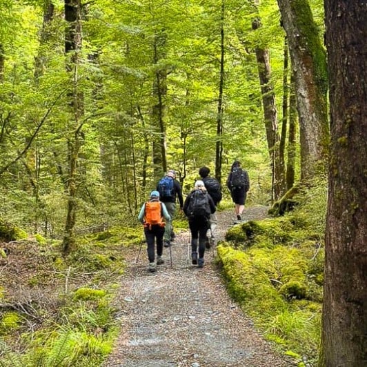 guests hike Routeburn track GW17DEC25