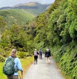 guests hike in Egmont National Park GN09MAR26