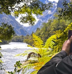 guests hike in Milford Sound GW17NOV25