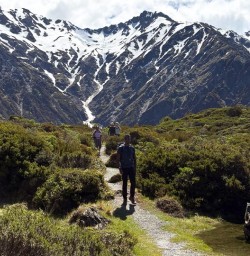 guests hike in Mt Cook National Park Aoraki PS24NOV25