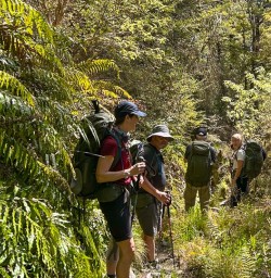 guests hike in Nelson Lakes Nationalpark KC17NOV25