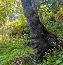 guests hike in Queen Charlotte Sound MP10NOV25
