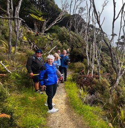 guests hike in Stewart Island GW09DEC25