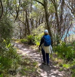 guests hike in Stewart Island GW27JAN26