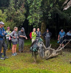 guests hike in Whanganui National Park GN17NOV25