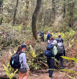 guests hike kepler track KC22DEC25