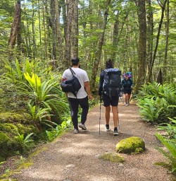 guests hike kepler track forest GW24FEB26