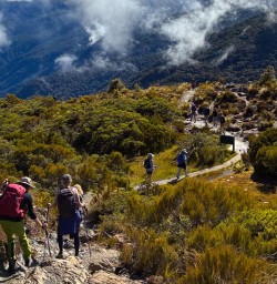 guests hike key summit fiordland RM23FEB26