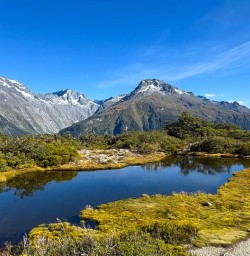 guests hike key summit in fiordland National Park MP16FEB26