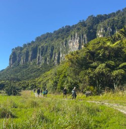 guests hike paparoa pororari river track KC23FEB26