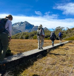 guests hike routeburn track fiordland KC24NOV25