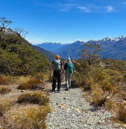 guests hike routeburn track fiordland nationalpark KC24NVO25