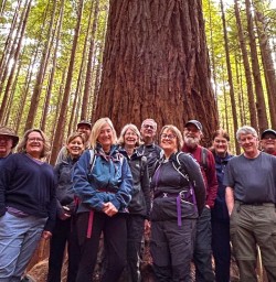 guests hike through forest North Island SN10MAR26