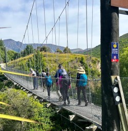guests hiking Arrow River Trail MP22DEC25