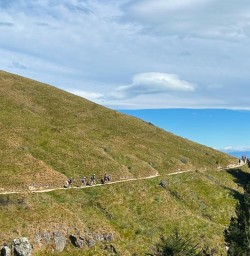 guests hiking Godley Head Track MP03NOV25