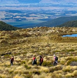 guests hiking Kepler Track GW17FEB26