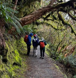 guests hiking Milford Sound RM03NOV25