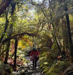 guests hiking Milford Track Fiordland GW09NOV25