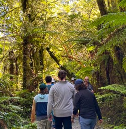 guests hiking Milford Track PS23FEB26