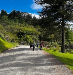 guests hiking North Island Trip GN03NOV25