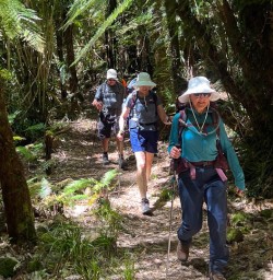 guests hiking Nydia Track KC03NOV25