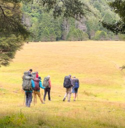 guests hiking Nydia Track KC23FEB26