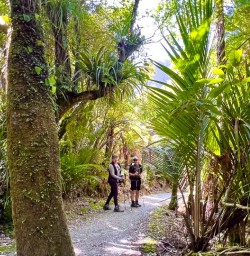 guests hiking Paparoa National Park RM09FEb36