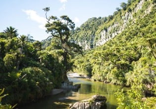 Pororari River Track.