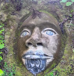 guests hiking Queen Charlotte MP10NOV25