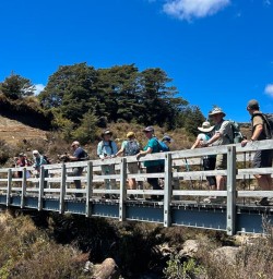 guests hiking Tongariro National Park SN18NOV25