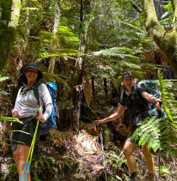 guests hiking along Nydia Track KC24NOV25