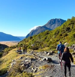guests hiking aoraki mt cook national park MP02FEb26