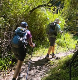guests hiking forest mackenzie country KC02FEB26