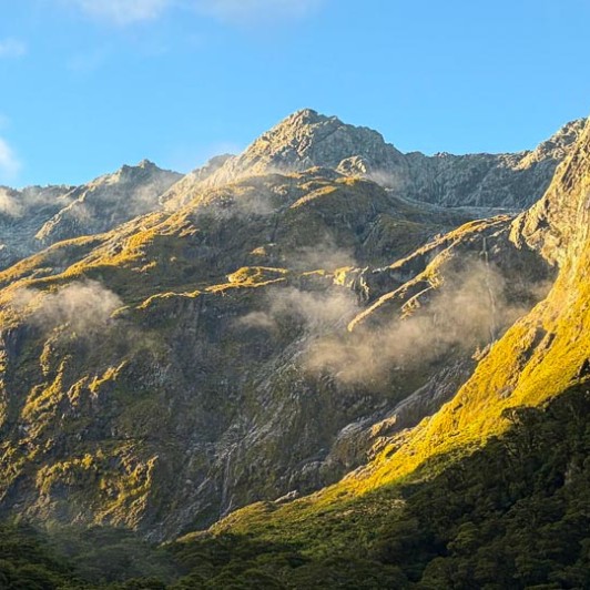 guests hiking in Fiordland National Park GE23FEB26
