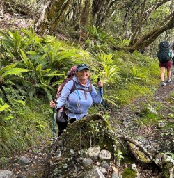 guests hiking in Nelson Lakes National park KC22DEC25
