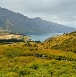 guests hiking in Wanaka PS19JAN26