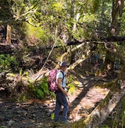 guests hiking in nelson lakes national park KC16MAr26