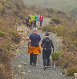 guests hiking in tongariro national park GN23MAR26
