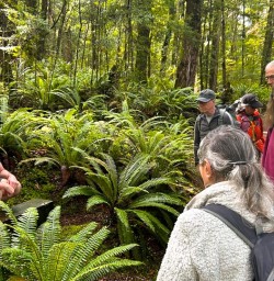 guests hiking kepler track GE30MAR26
