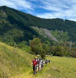 guests hiking nydia track KC24NOV25