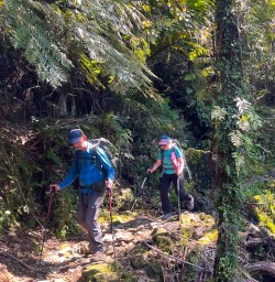 guests hiking on the Nydia Track Pelorus Sound KC03NOV27