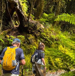 guests hiking paparoa national park MP02FEb26