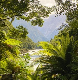 guests hiking the Milford Track GE12JAN26