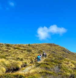 guests hiking the kepler track GW10FEB26
