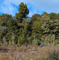 guests hiking the kepler track MP03NOV25