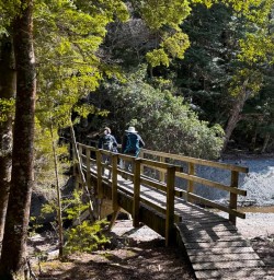 guests hiking the kepler track PS30MAR26